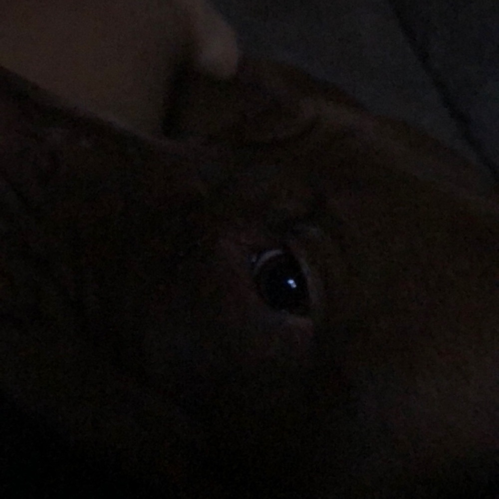 Meet your Posher, Kaleb